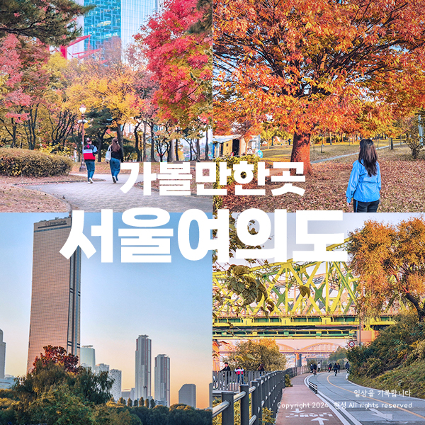 서울 가볼만한곳 여의도 한강 공원 11월 12월 데이트코스 단풍 명소 실내 놀거리 : 네이버 블로그