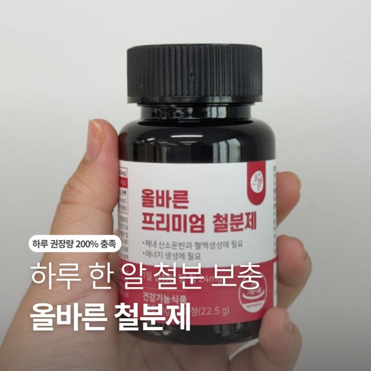 하루 한 알 임산부 영양제로 좋은 올바른 철분제 : 네이버 블로그