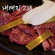 용인 죽전 한우 맛집 내대지238 숲속에서 즐기는 최상급 한우 연말 모임 추천