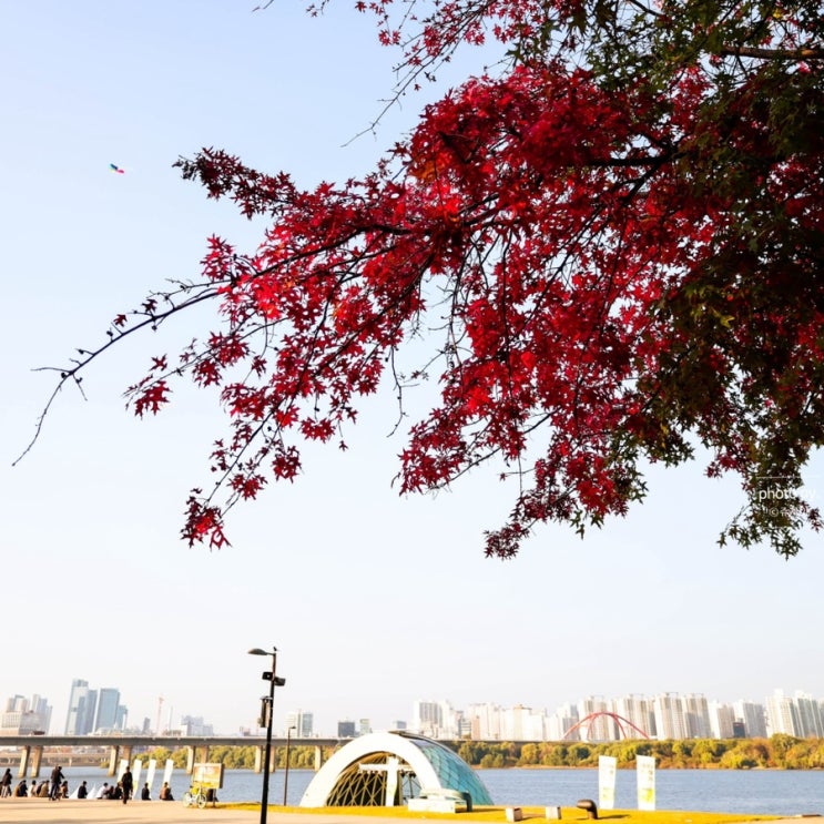 서울 단풍구경 여의도 한강공원 놀거리 자전거 주차장 : 네이버 블로그
