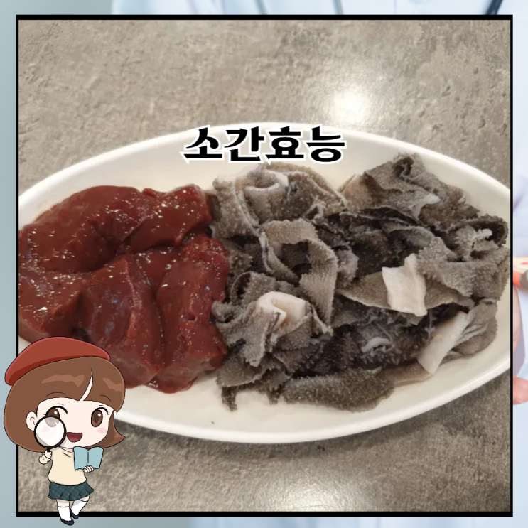 소간효능 부작용 왜 건강에 좋을까? : 네이버 블로그