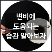 변비에 좋은 습관알아보자♬