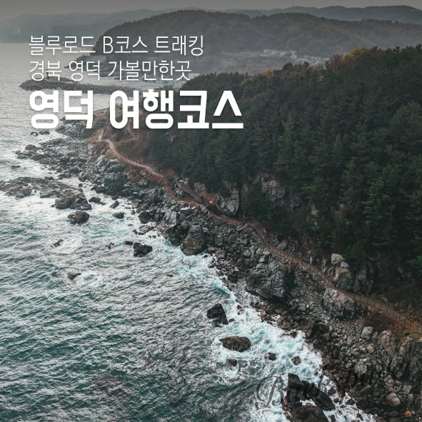 국내여행지 추천 경북 영덕 블루로드 B코스 트레킹 여행코스 가볼만한곳 : 네이버 블로그