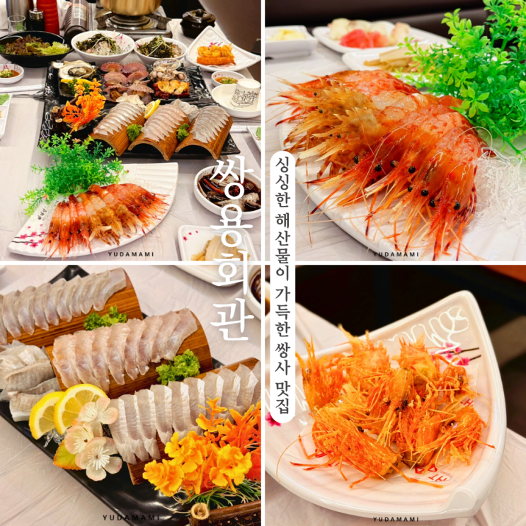 포항쌍사 맛집 쌍용회관 싱싱한 해산물 독도새우 가득한 곳 : 네이버 블로그
