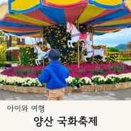 2024 양산 국화축제 황산공원 축제기간 주차장