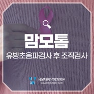 유방초음파검사 후 맘모톰 시술을 해야 할 때