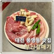 대전봉명동맛집 "부산갈매기 대전봉명점" 가성비 좋은 유성구맛집