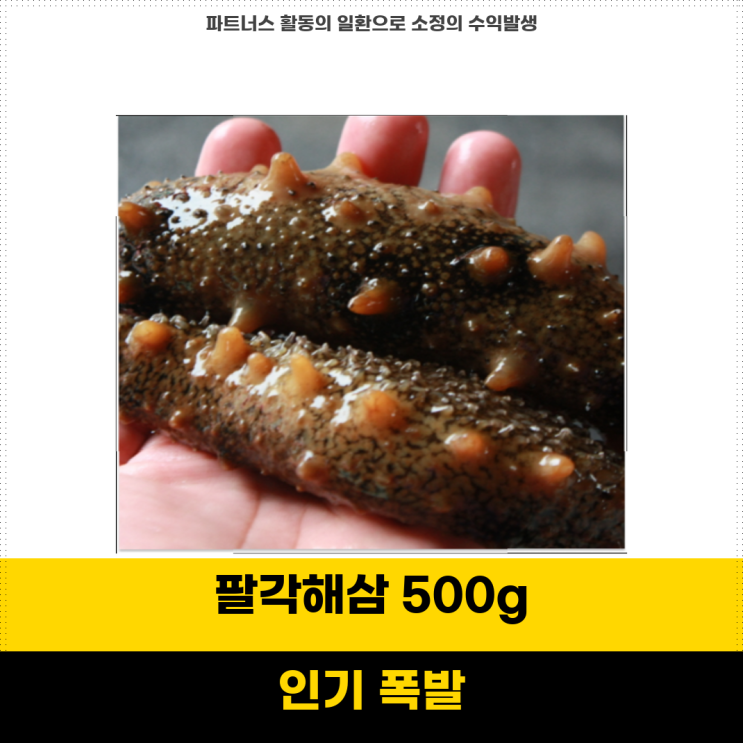 지금제일핫 팔각해삼 당일조업 신선한 국내산 활 해삼 500g 중식 요리에 최적의 선택 : 네이버 블로그