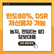 농지, 전답 매매 (논 밭) 담보대출, DSR LTV 80% 이자 금리 한도