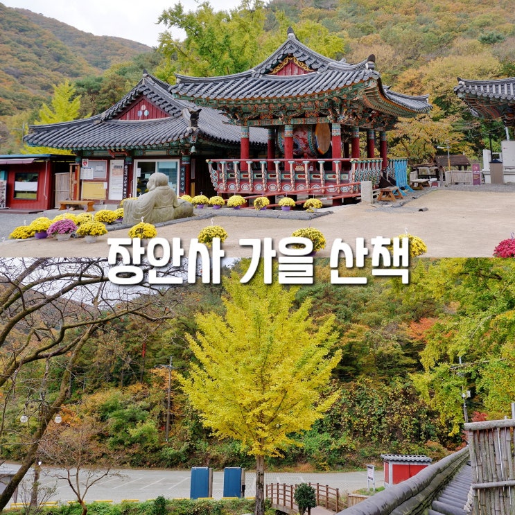부산 기장 가볼만한곳 장안사 단풍 은행 계곡길 가을 산책 : 네이버 블로그