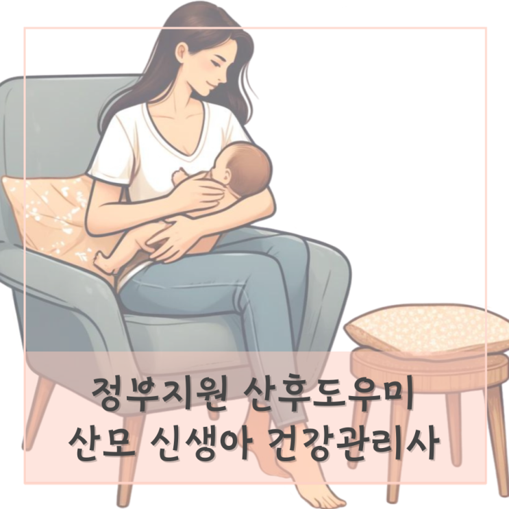 정부지원 산후도우미 소득 산모신생아건강관리사 산후조리 : 네이버 블로그