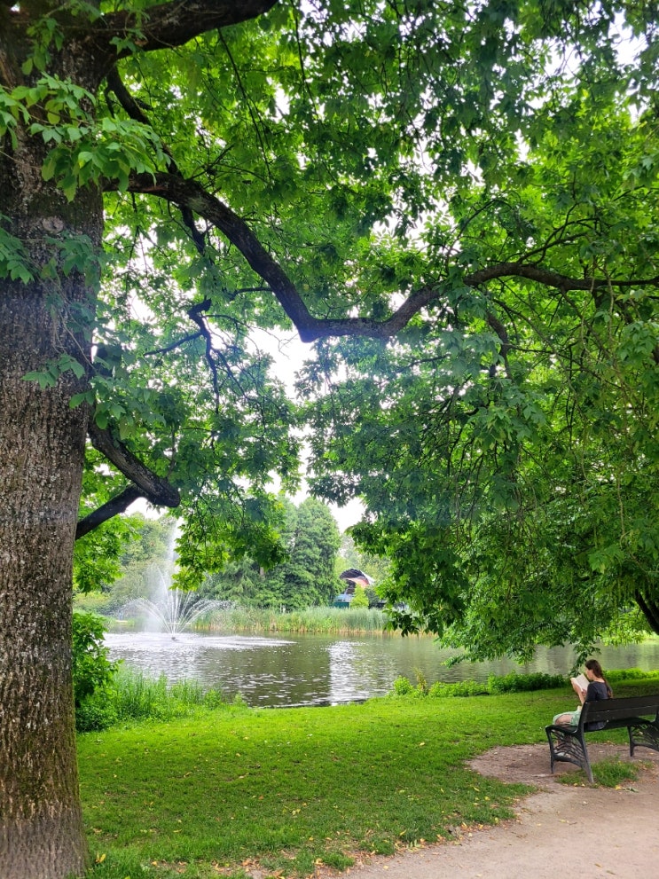 암스테르담 인생 러닝 공원 본델 파크 Vondelpark (ft. 카페 Coffee District ....