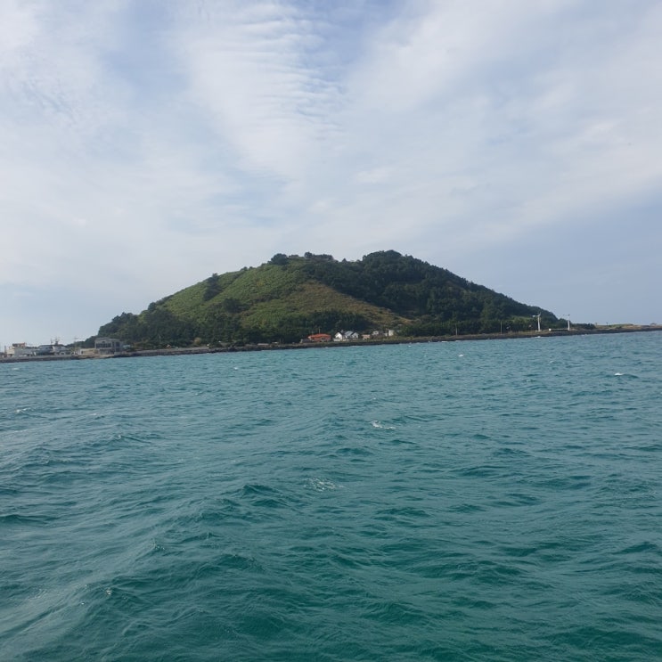 제주 비양도 배시간 한림항 도선대합실