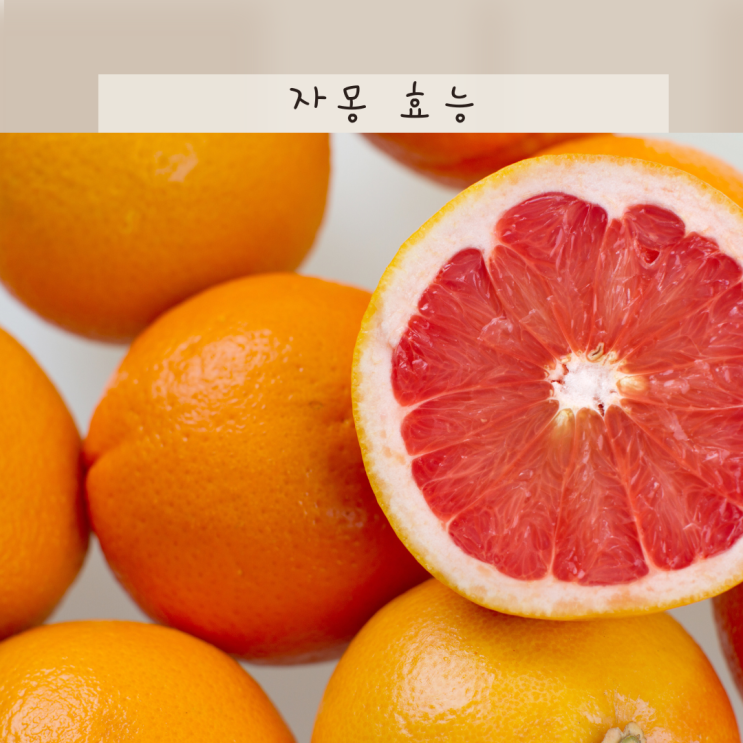 자몽 효능 부작용 자몽차 자몽티 칼로리 및 임산부 섭취 가능여부 : 네이버 블로그