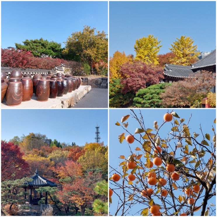 남산골한옥마을, 단풍 든 남산, 감나무와 까치 : 네이버 블로그