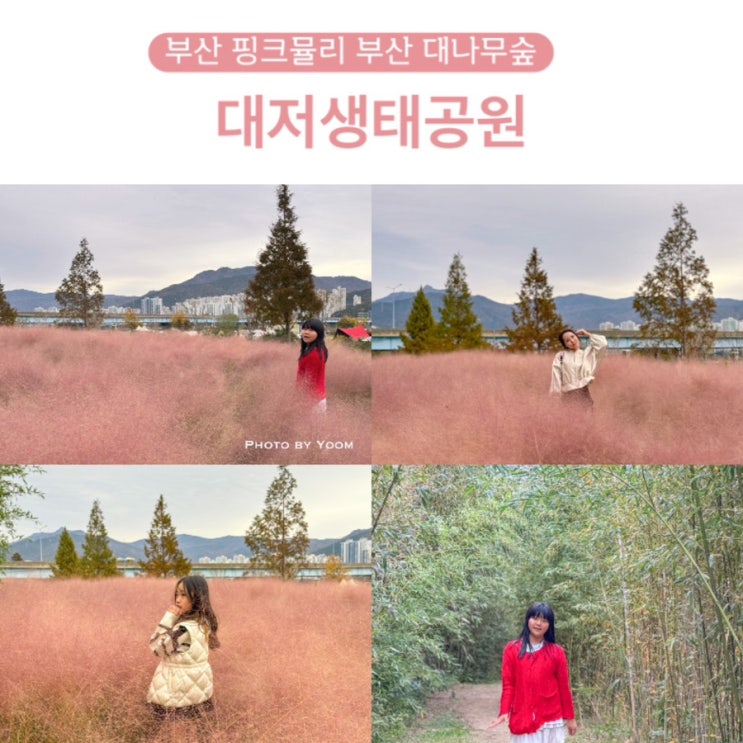 부산 강서구 가볼만한곳 대저생태공원 대저오토캠핑장...