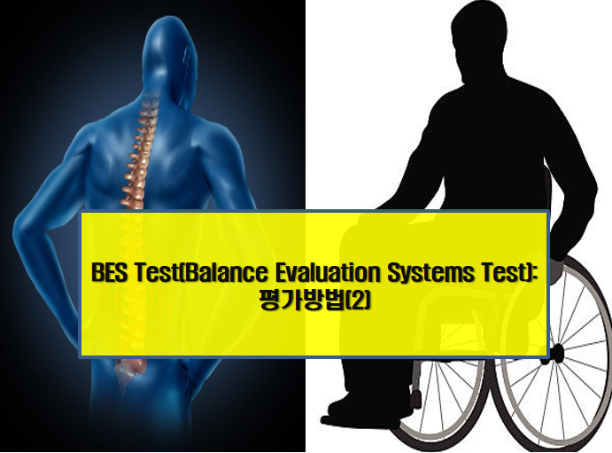 BES Test(Balance Evaluation Systems Test) 평가 방법(2) : 네이버 블로그