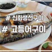 서초 교대 고등어구이 맛집 백반 느낌 신화생선구이