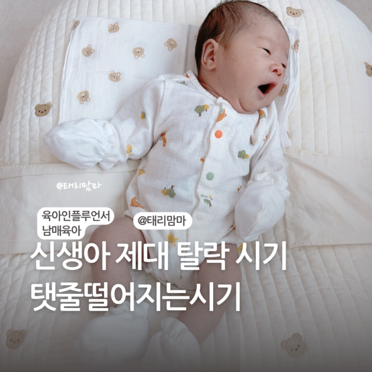[D+22] 신생아 제대탈락 / 탯줄떨어지는시기, 탯줄 보관법 : 네이버 블로그
