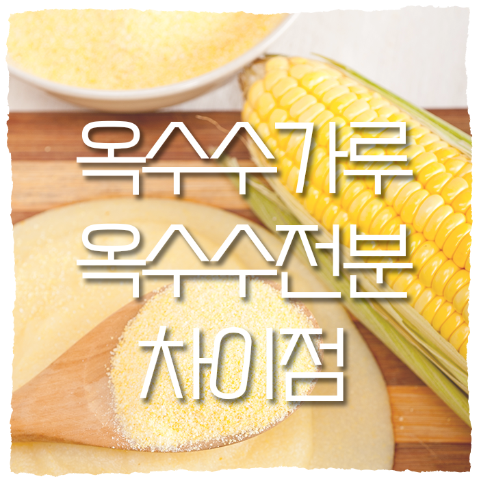 옥수수 전분, 옥수수 가루 차이점 성분 : 네이버 블로그