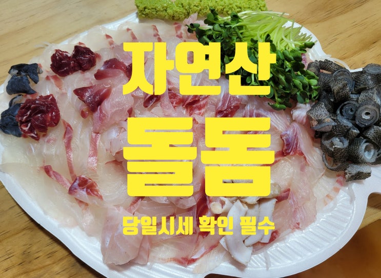 노량진 수산시장 돌돔 줄돔 회 국내산 자연산으로 준비한 4인 회 : 네이버 블로그