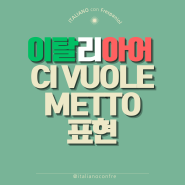 이탈리아어 문법 : CI VULOE/METTO 표현