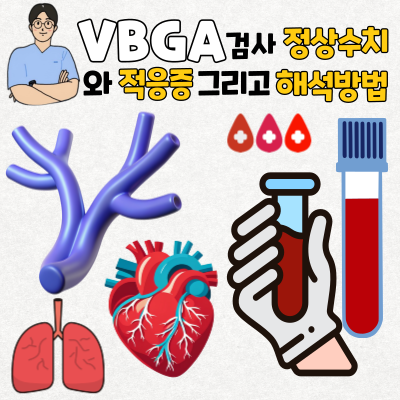 VBGA 검사 적응증 및 시행하는 이유 VBGA 정상 수치와 해석 방법 : 네이버 블로그