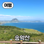 【여행】 제주도 최남단 송악산, 마라도, 가파도, 형제섬 - 송악산 정상에 오르다