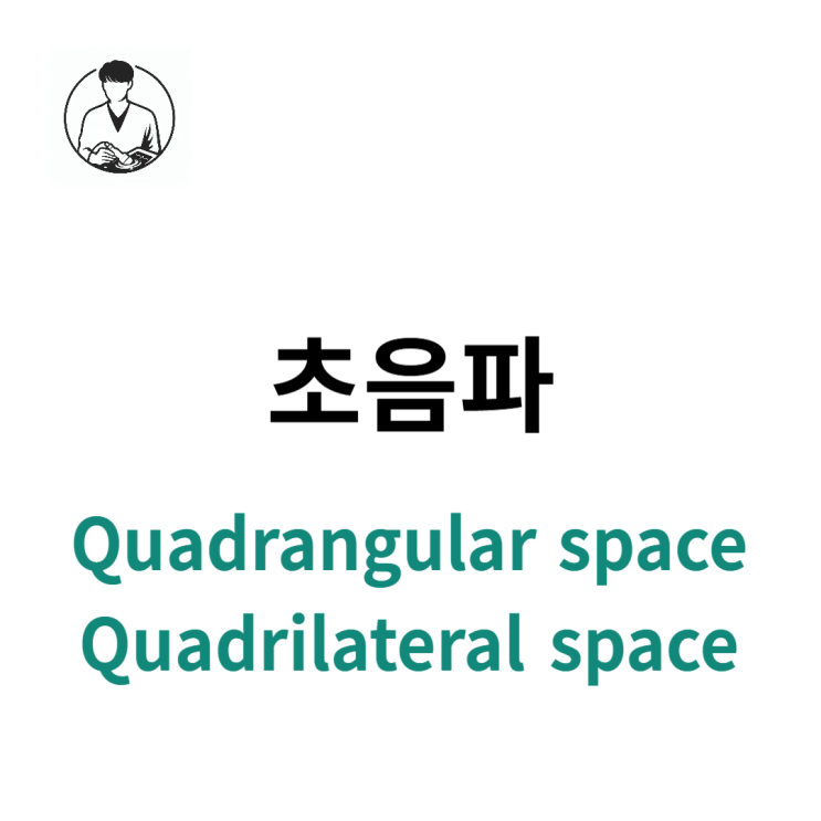 사변공 (Quadrangular space, Quadrilateral space) 초음파 스캔 : 네이버 블로그
