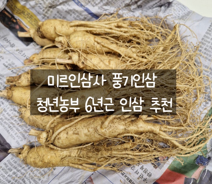 [리뷰] 미르인삼사 청년농부 6년근 풍기인삼 수삼 한채 750g 추천 : 네이버 블로그