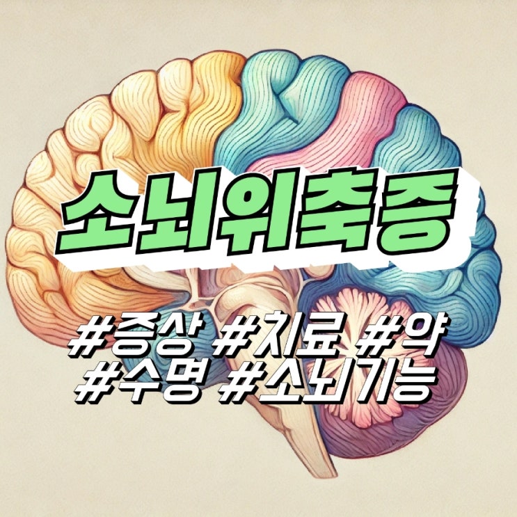 소뇌위축증 증상 치료 약 수명, 소뇌기능 : 네이버 블로그