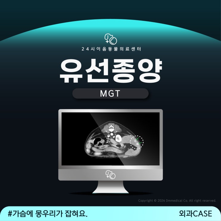 강아지 유선종양 (증상, 재발률, 원인, 적출) 배에 몽우리가 만져져요.[동탄24시동물병원] : 네이버 블로그