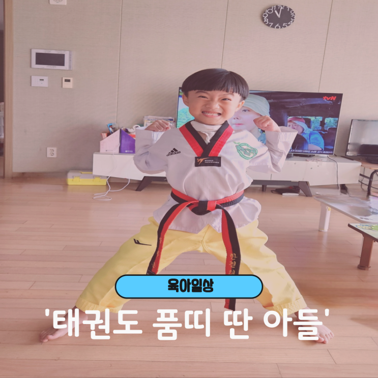태권도 띠 순서 태권도 승품심사 1품 도전 많이 컸다 우리 아들 : 네이버 블로그