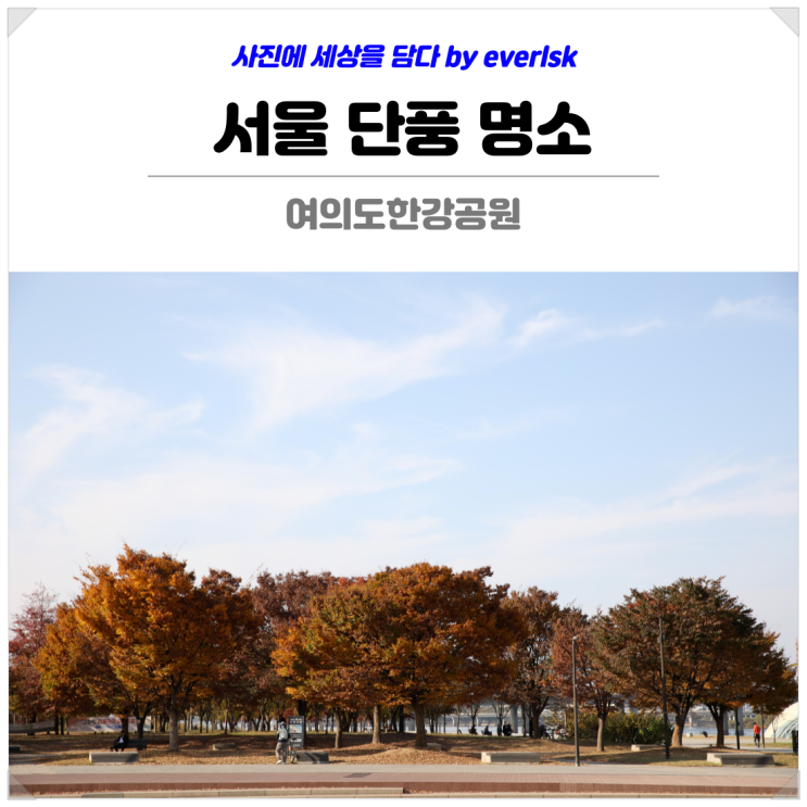 서울 단풍 명소 여의도 한강공원 서울 가을 나들이 데이트 피크닉 가볼만한곳 : 네이버 블로그