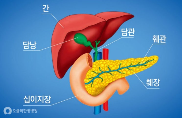 췌장암 초기 증상 등 통증 췌장암 검사 방법 복부 CT 촬영 후기와 췌장암 검사비용 : 네이버 블로그