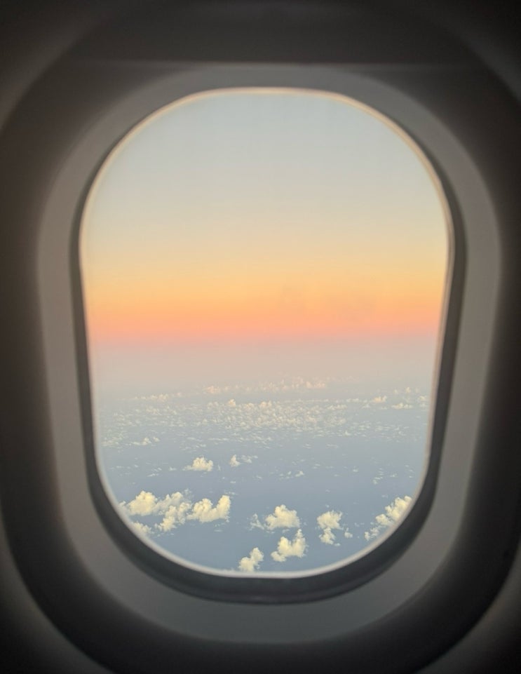 티웨이항공 시드니행 TW501 TW502 탑승후기 : 기내식, 입국신고서, 추천준비물 : 네이버 블로그