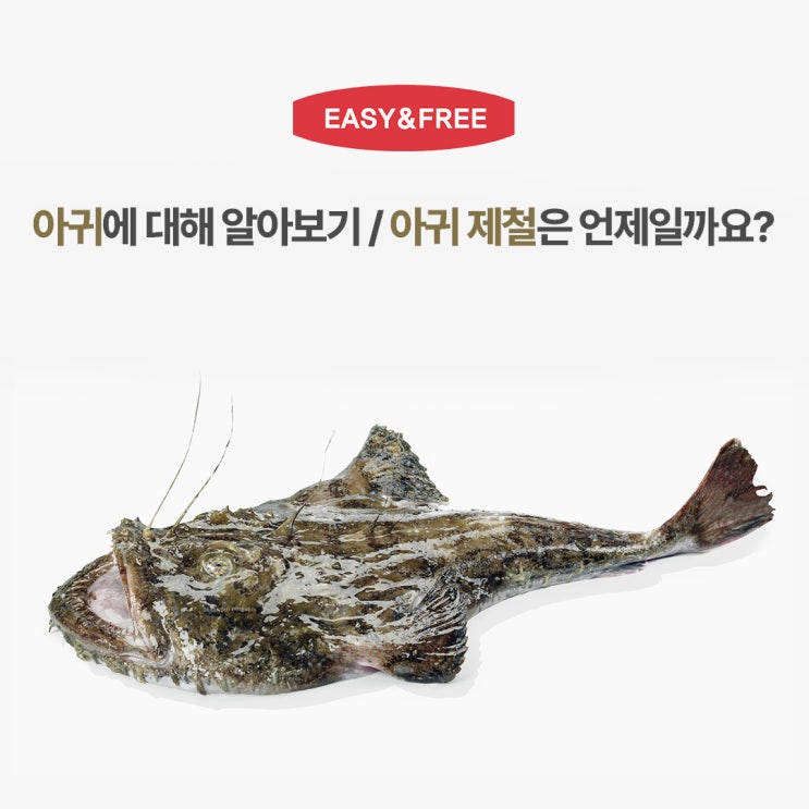 아귀 알아보기 아귀철은 언제일까요? : 네이버 블로그