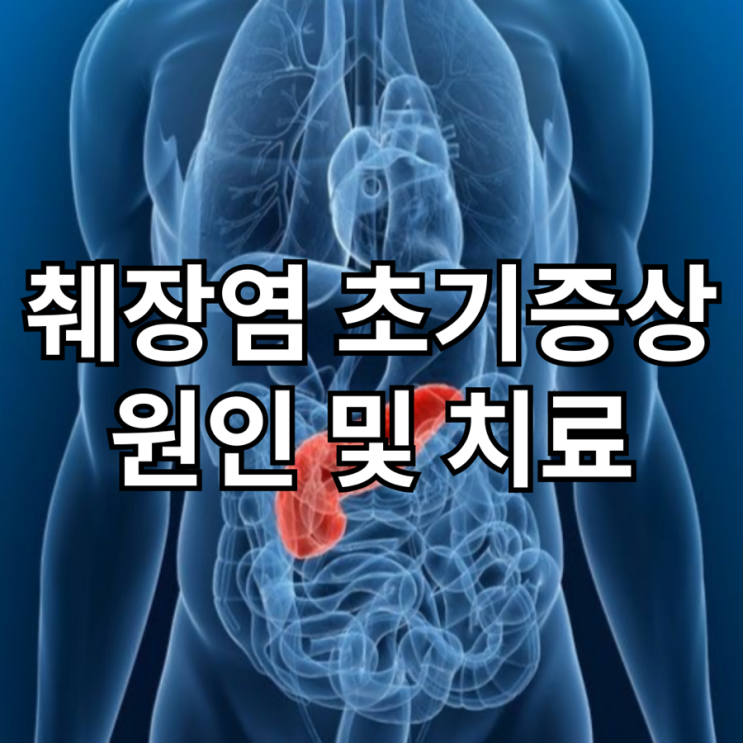 췌장염 초기증상, 원인, 그리고 치료 방법 : 네이버 블로그