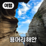 【여행】 모슬포 방어축제, 용머리 해안, 큰사슴엉곶, 크리스마스 마을