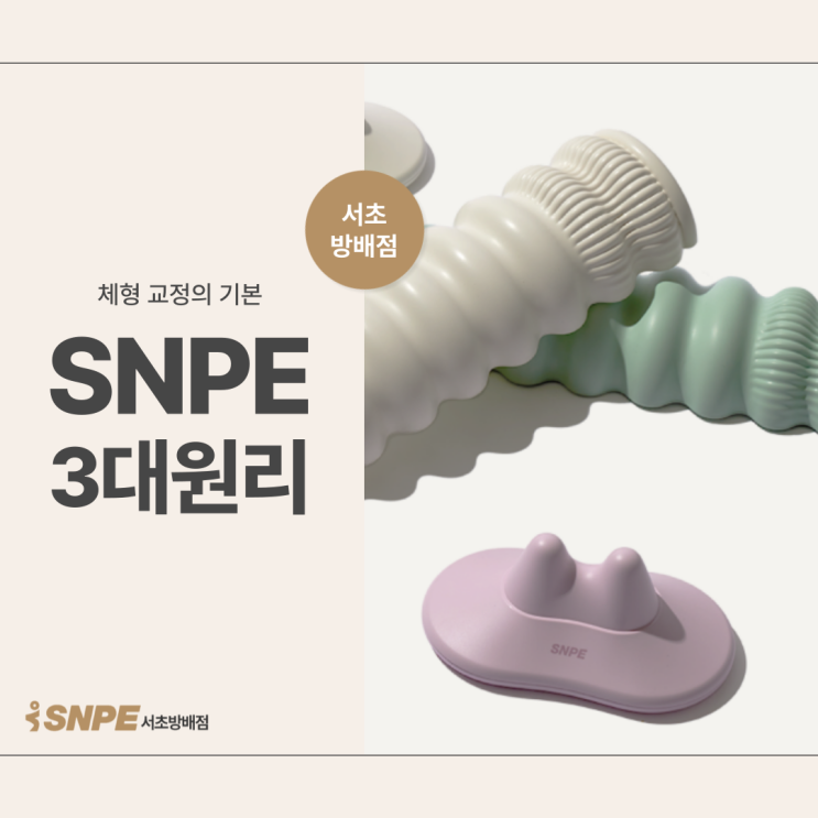 SNPE 3대원리를 통해 배우는 체형 교정의 기본