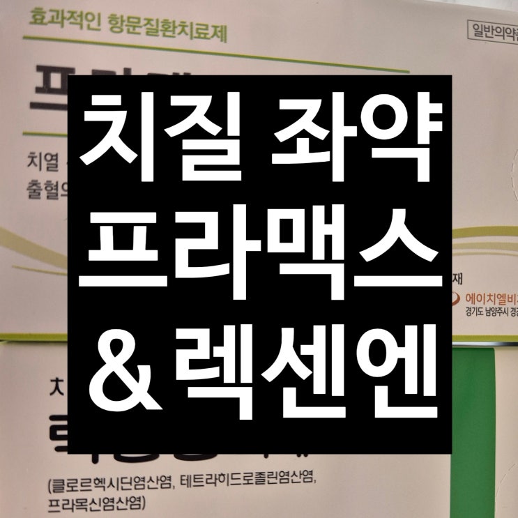 프라맥스에스 좌제 렉센엔 좌약 항문에 직접 넣는 치질 치료제 효과 주의사항 부작용 _아산 광은약국 : 네이버 블로그