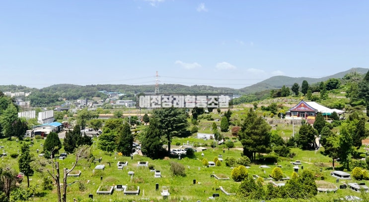 파주 가족묘 납골묘(봉안묘) 매장묘와 자연장 평장묘 : 네이버 블로그