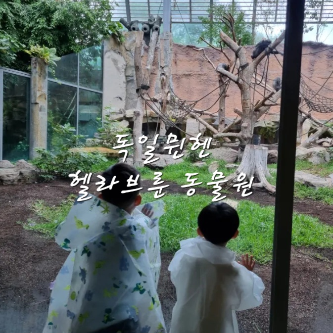[아이랑유럽]7세4세 아이랑 독일 뮌헨 '헬라브룬' 동물원(찾아가는길....