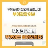 부여관광 Q&A! 부여관광에게 무엇이든 물어보세요!