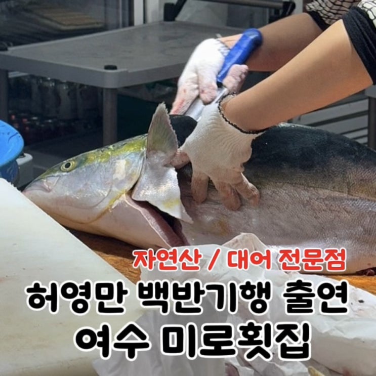 여수 미로횟집 | 자연산 대방어 대어 활어 횟집 추천 : 네이버 블로그