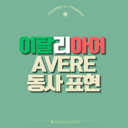 이탈리아어 문법 : AVERE 동사