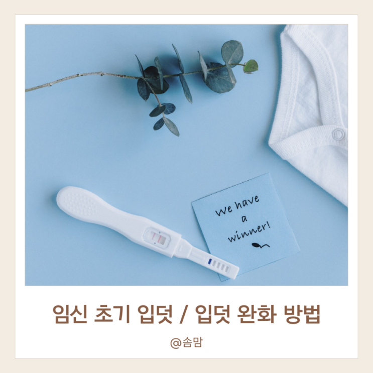임신 초기 입덧 증상 입덧 완화 방법 : 네이버 블로그