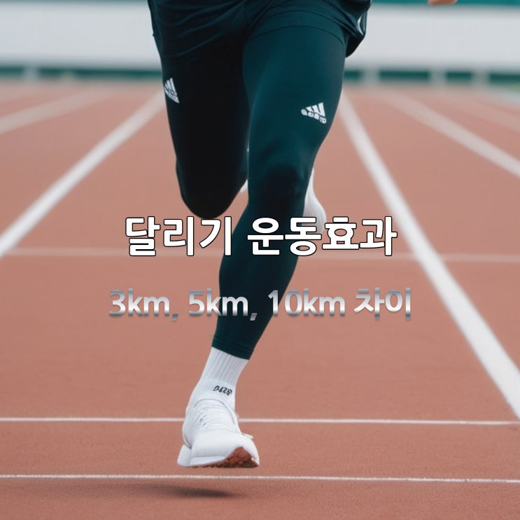 달리기 칼로리 30분 운동효과: 3km, 5km, 10km의 차이는? : 네이버 블로그