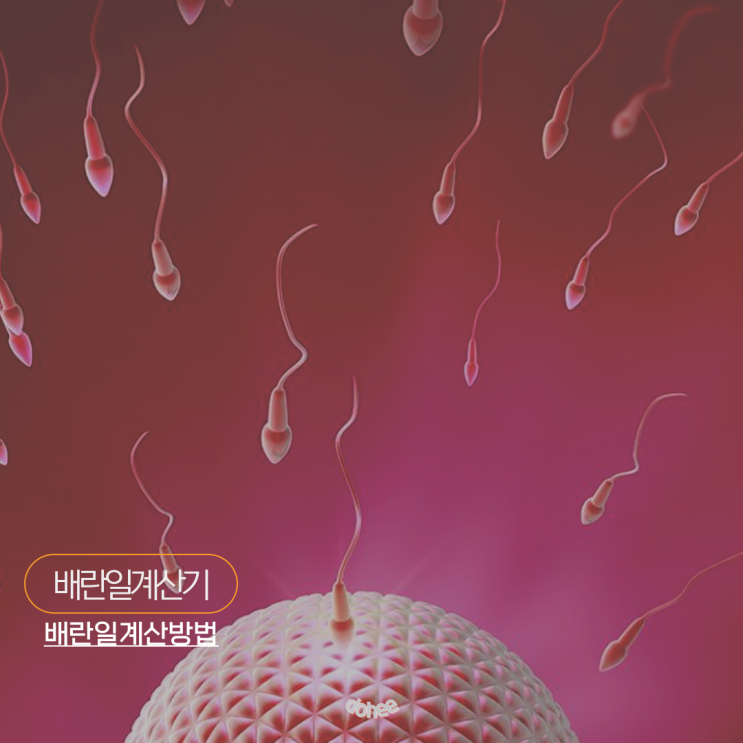 배란일계산기 생리주기 배란테스트기로 아는 배란기 : 네이버 블로그