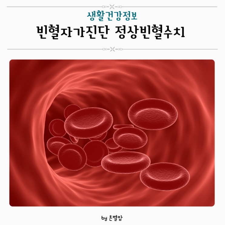 빈혈자가진단 철결핍성빈혈 정상빈혈수치 빈혈 수치 증상 : 네이버 블로그